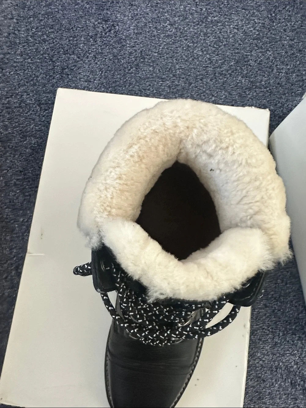 Frye Black Leather Ankle Boots with Cream Shearling Cuffs